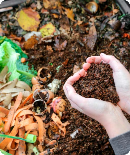 imagen-we-care-for-the-environment